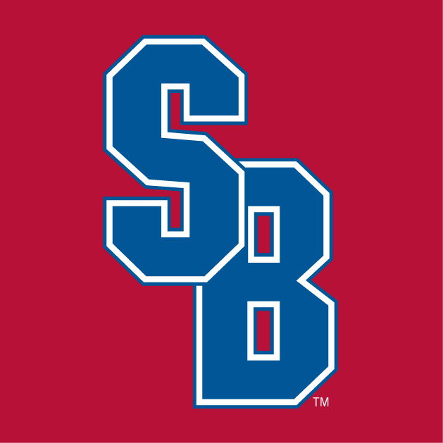 Stony Brook Seawolves 2008-Pres Alternate Logo diy iron on heat transfer